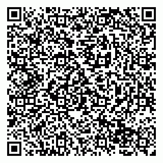 vCard 79138265223
