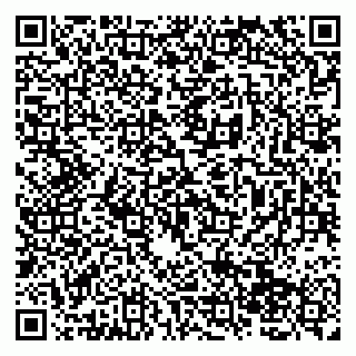 vCard 79138265227