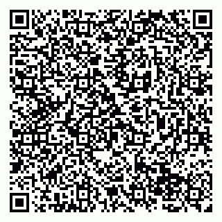 vCard 79138265228