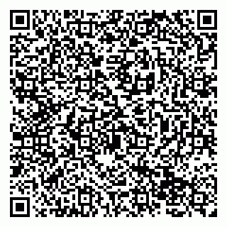 vCard 79138265267