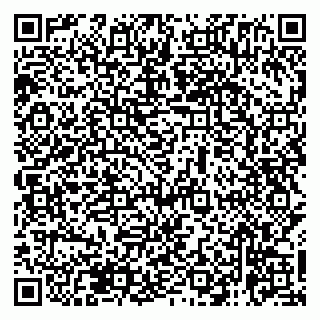 vCard 79138265269