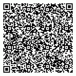 vCard 79138265285