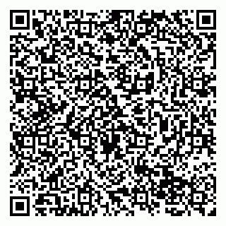 vCard 79138265288