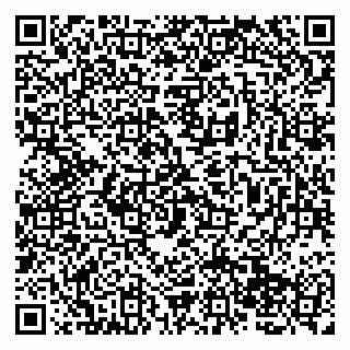 vCard 79138265294