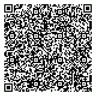 vCard 79138265305