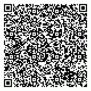 vCard 79138265333