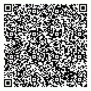 vCard 79138265334