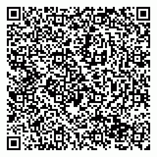 vCard 79138265335