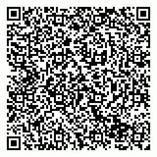 vCard 79138265339