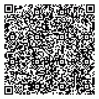 vCard 79138265351