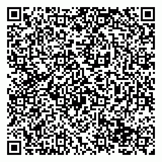 vCard 79138265372