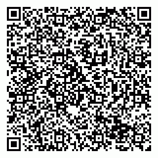 vCard 79138265381