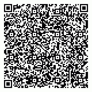 vCard 79138265382