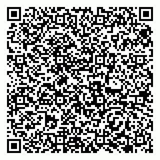 vCard 79138265385