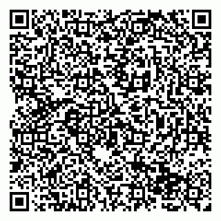 vCard 79138265386