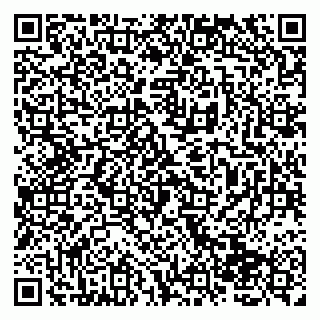 vCard 79138265387