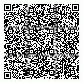 vCard 79138265392