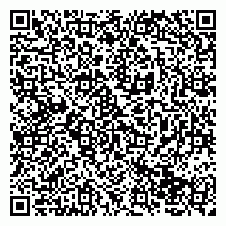 vCard 79138265393