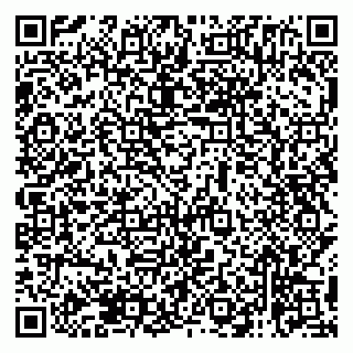 vCard 79138265394