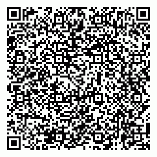 vCard 79138265405