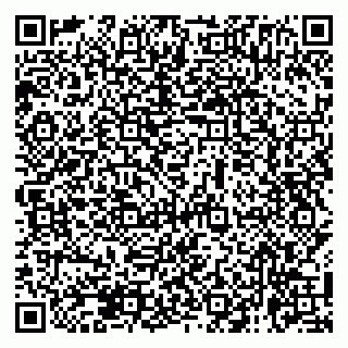 vCard 79138265408