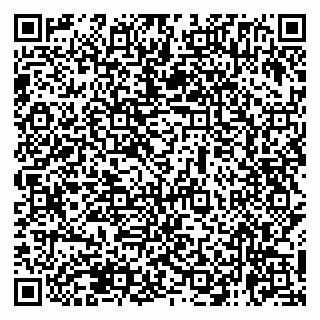 vCard 79138265453