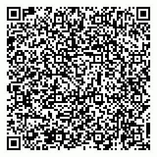 vCard 79138265479