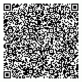vCard 79138265498