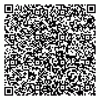 vCard 79138265679