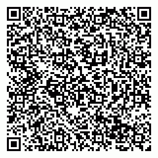 vCard 79138265683