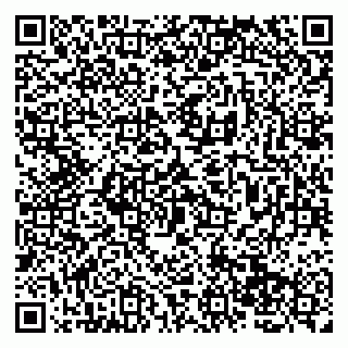 vCard 79138265688
