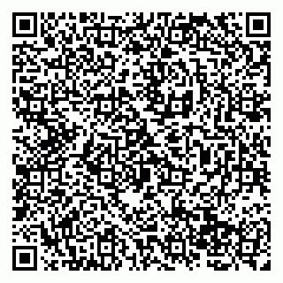 vCard 79138265694