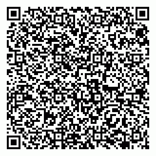 vCard 79138265768