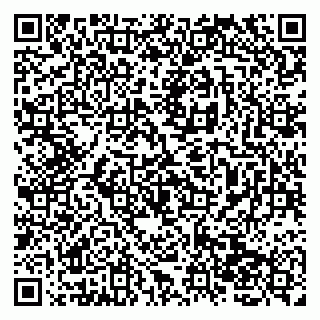 vCard 79138265803