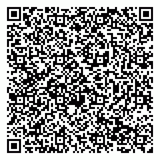 vCard 79138265877