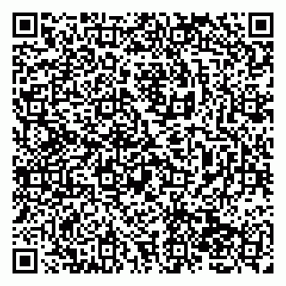 vCard 79138266013