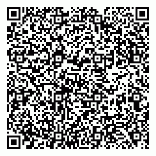 vCard 79138266294