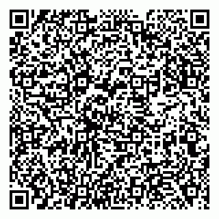 vCard 79138266303