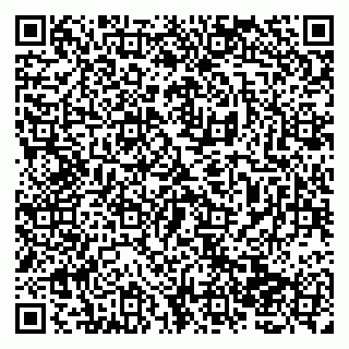 vCard 79138267131
