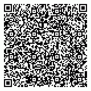vCard 79138267140