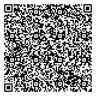 vCard 79138267158