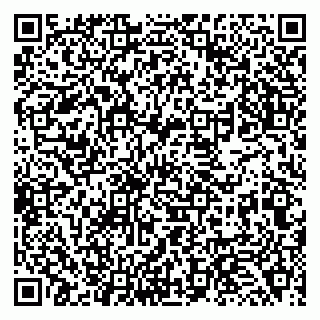 vCard 79138267201