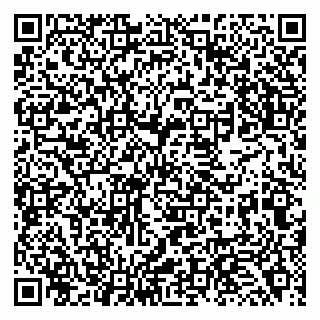 vCard 79138267271
