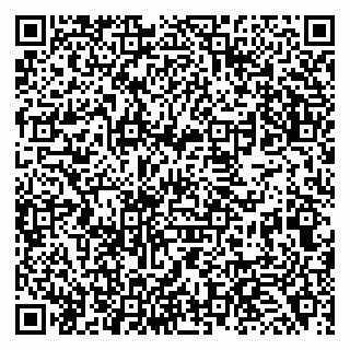 vCard 79138267294