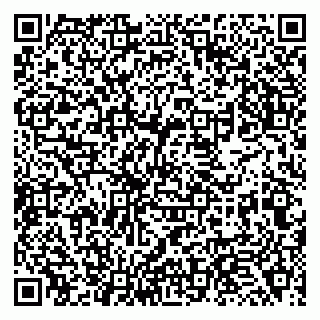 vCard 79138267303