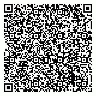 vCard 79138267331