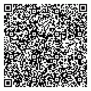vCard 79138267397
