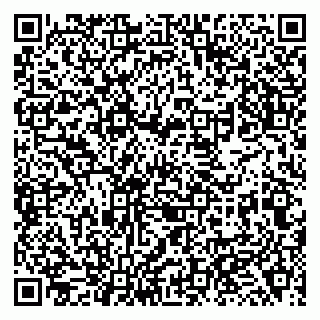 vCard 79138267403