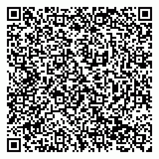vCard 79138267453