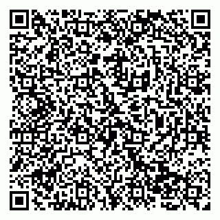 vCard 79138267455